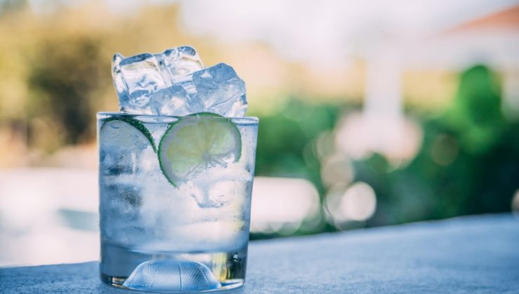 Gin and Tonic in a glass with lime