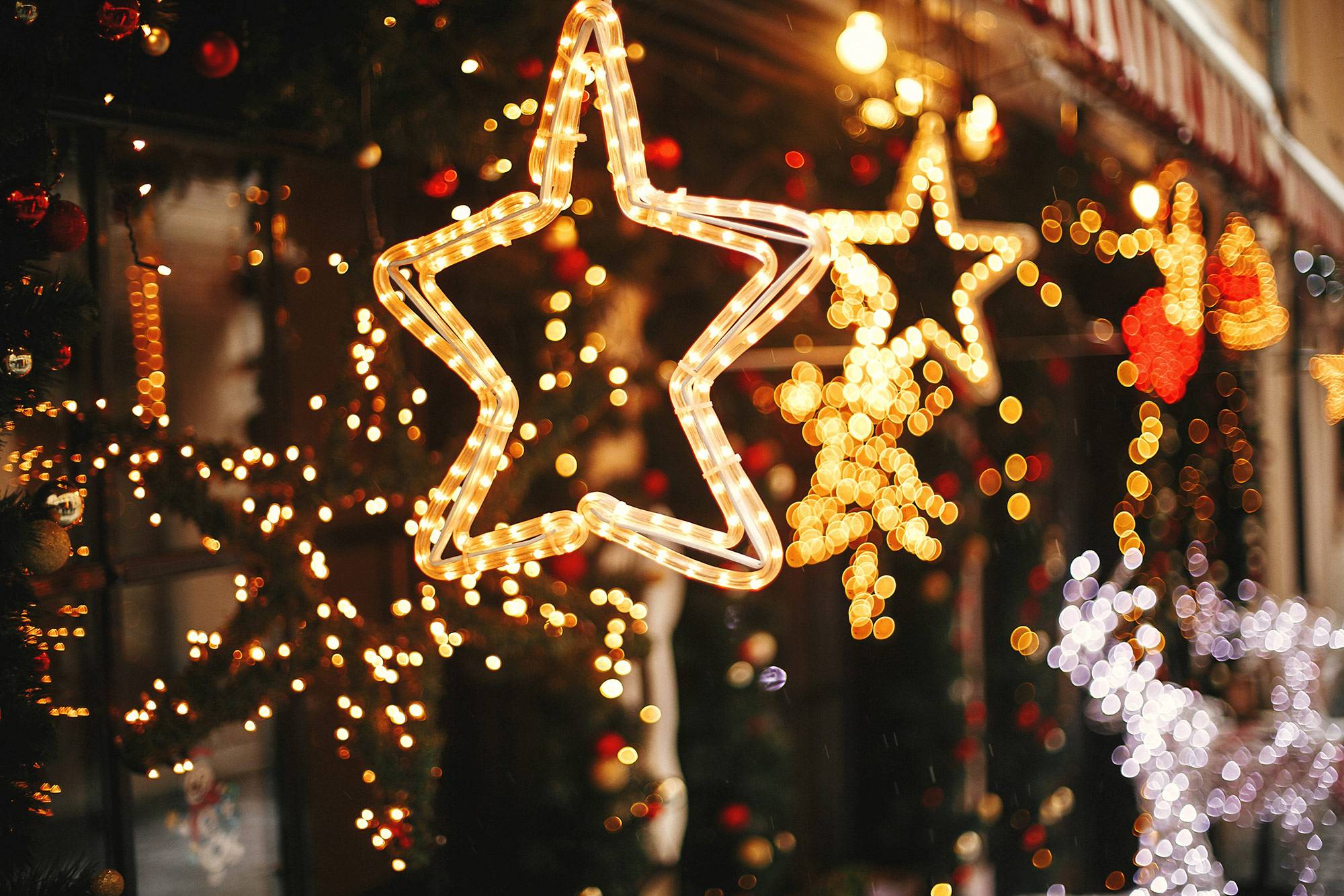 F&F_WEB_Xmas-Menu_Lights