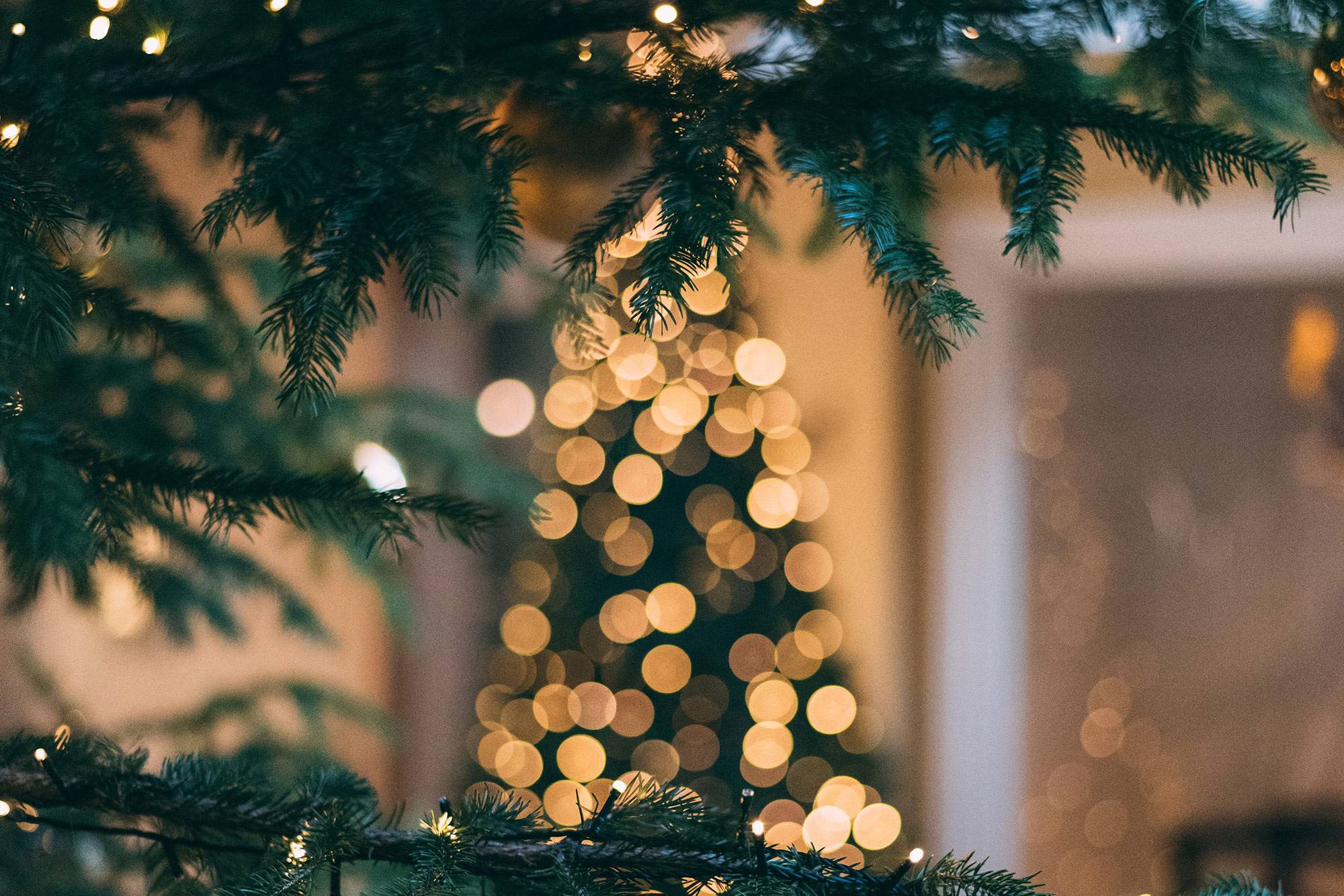 F&F_WEB_Xmas-Menu_Tree-Lights-2