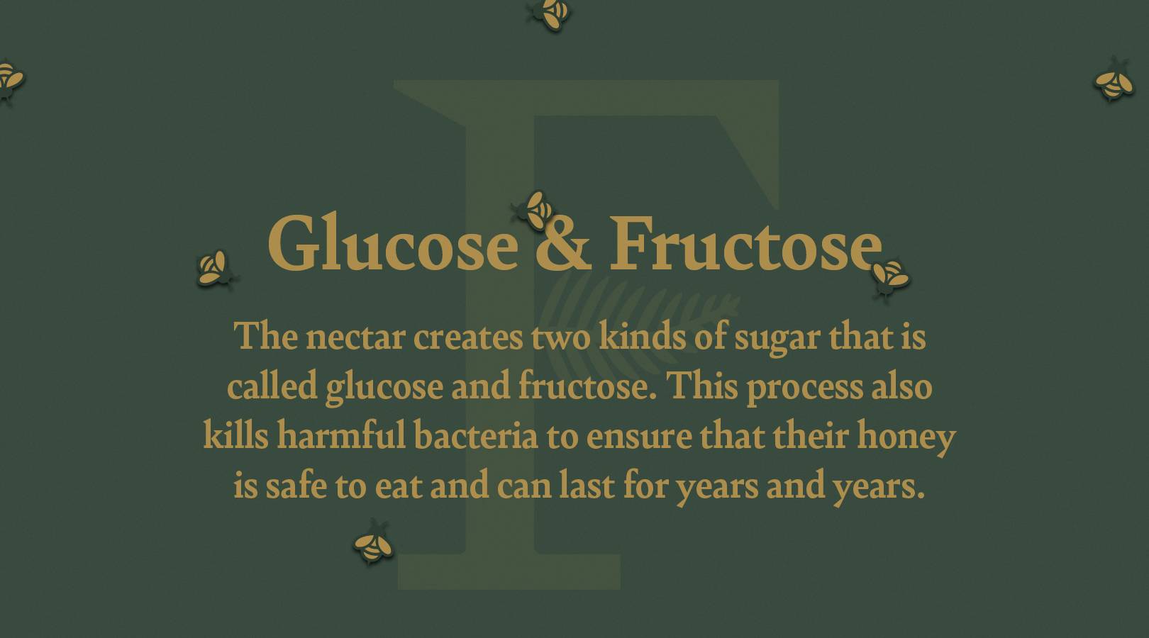 The Forge & Fern_WEB_Bees_Facts-Sliders3