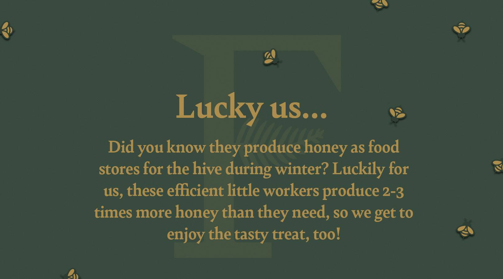 The Forge & Fern_WEB_Bees_Facts-Sliders6